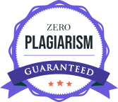 Plagiarism-Free icon